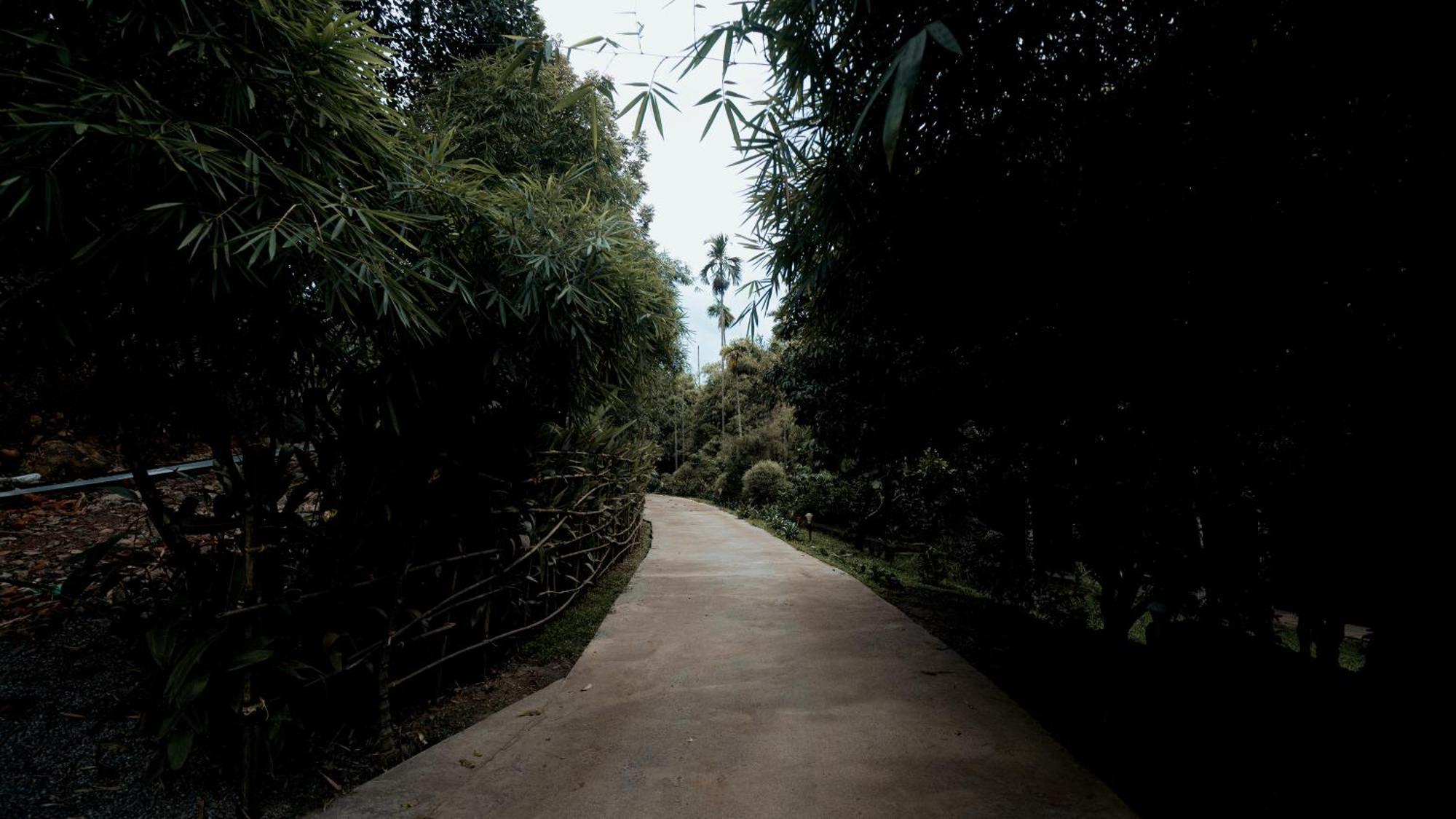 Vythiri Holiday Resort, Wayanad מראה חיצוני תמונה