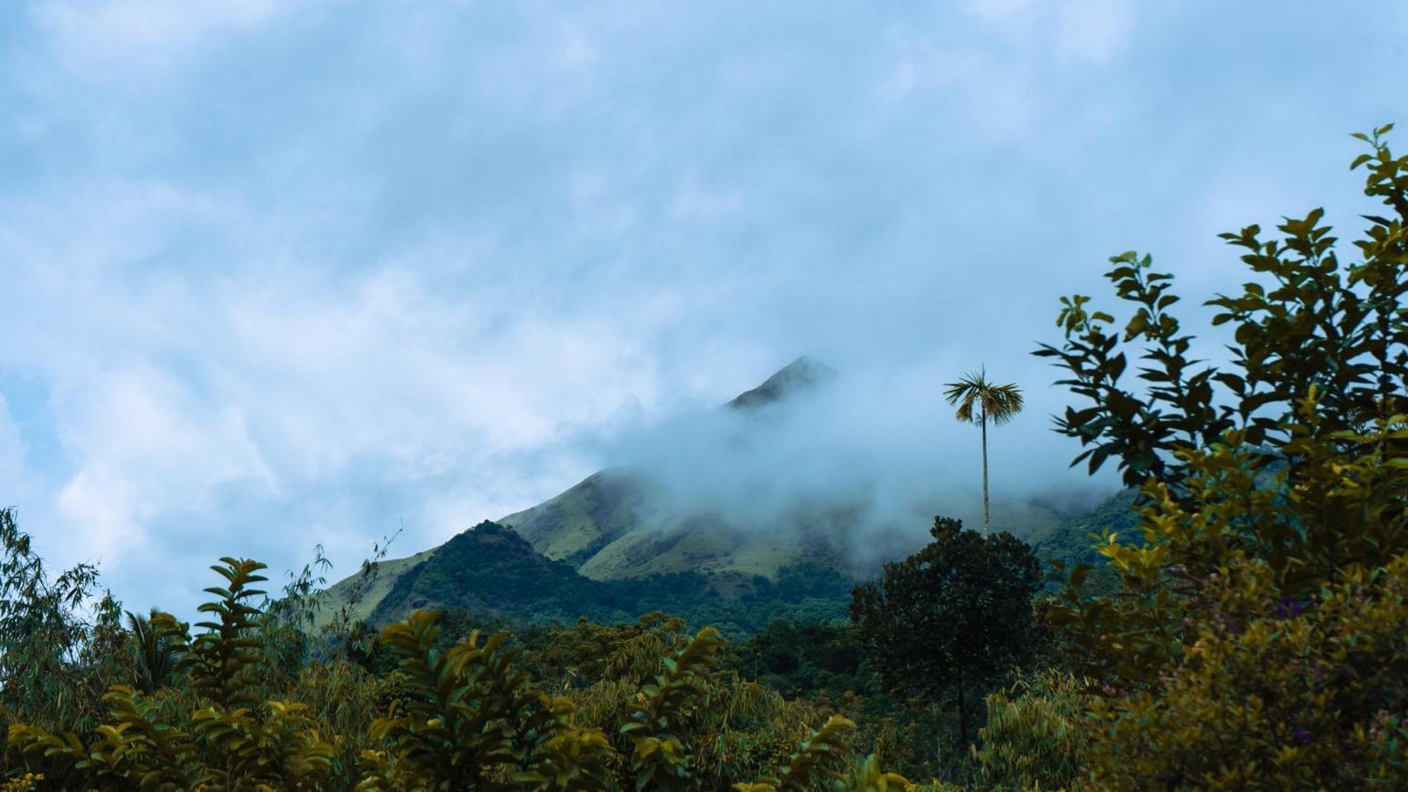 Vythiri Holiday Resort, Wayanad מראה חיצוני תמונה