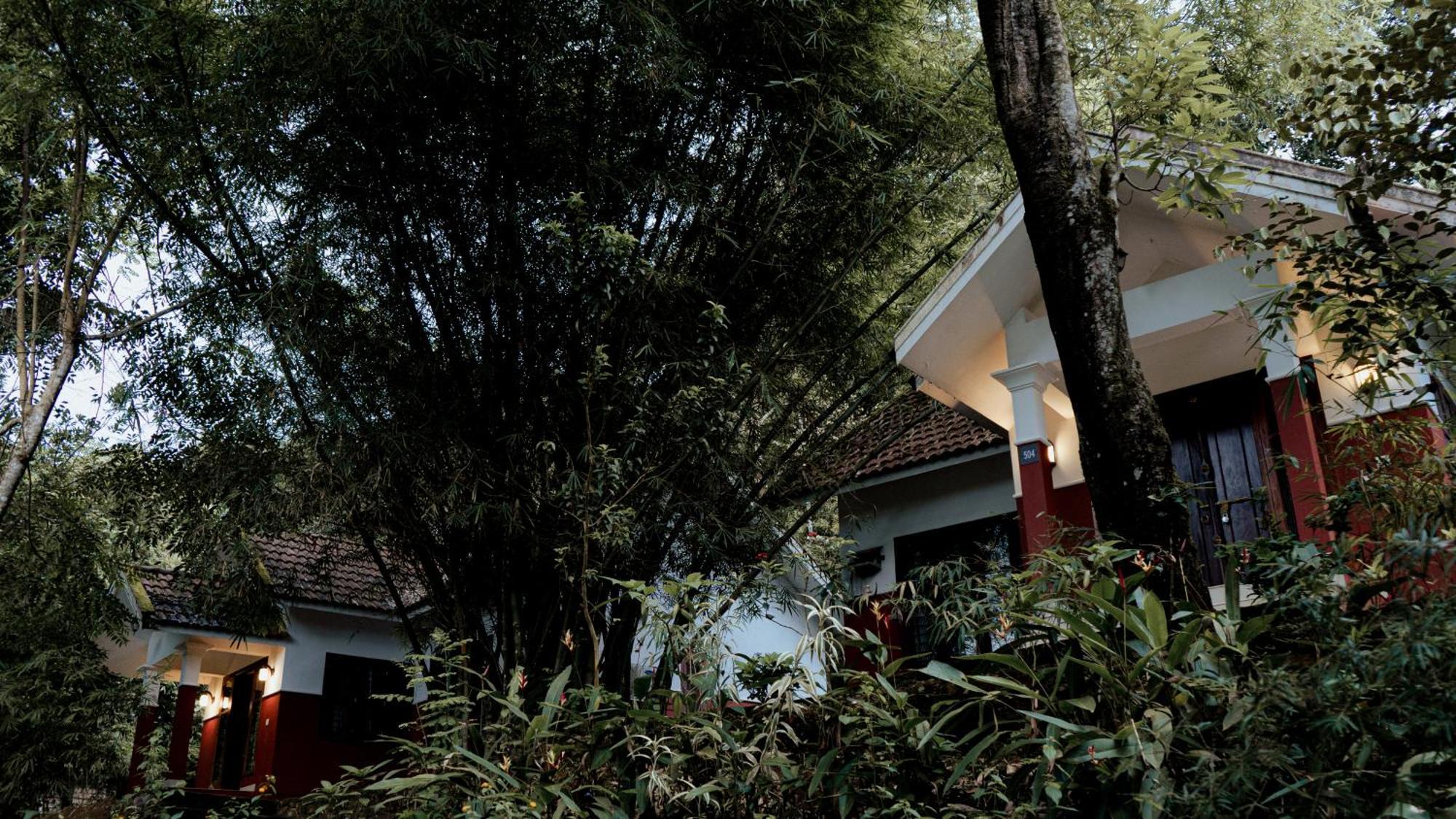 Vythiri Holiday Resort, Wayanad מראה חיצוני תמונה