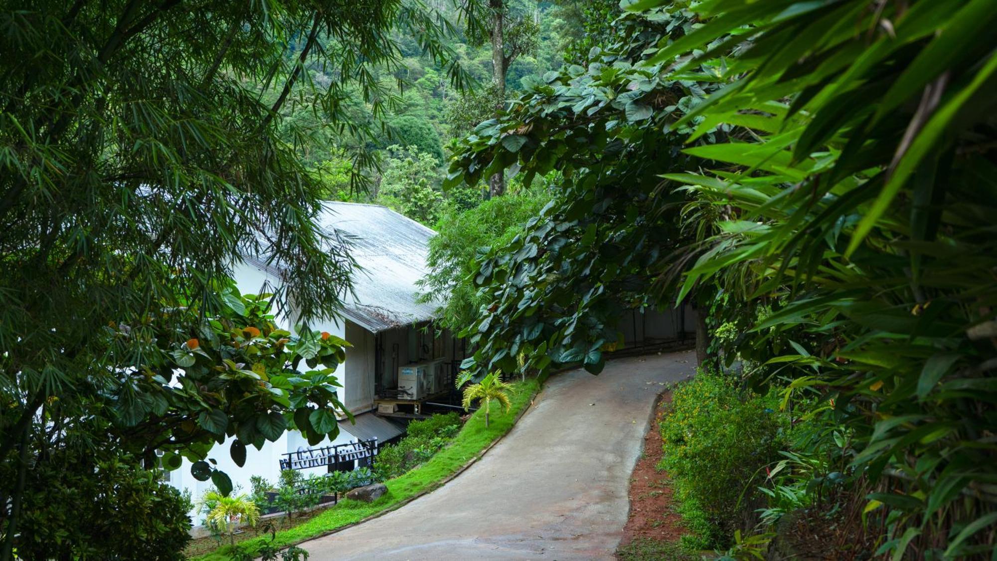 Vythiri Holiday Resort, Wayanad מראה חיצוני תמונה